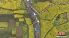 近3000名选手畅跑金色花海 江西瑞昌第六届乡村花海健康跑开跑